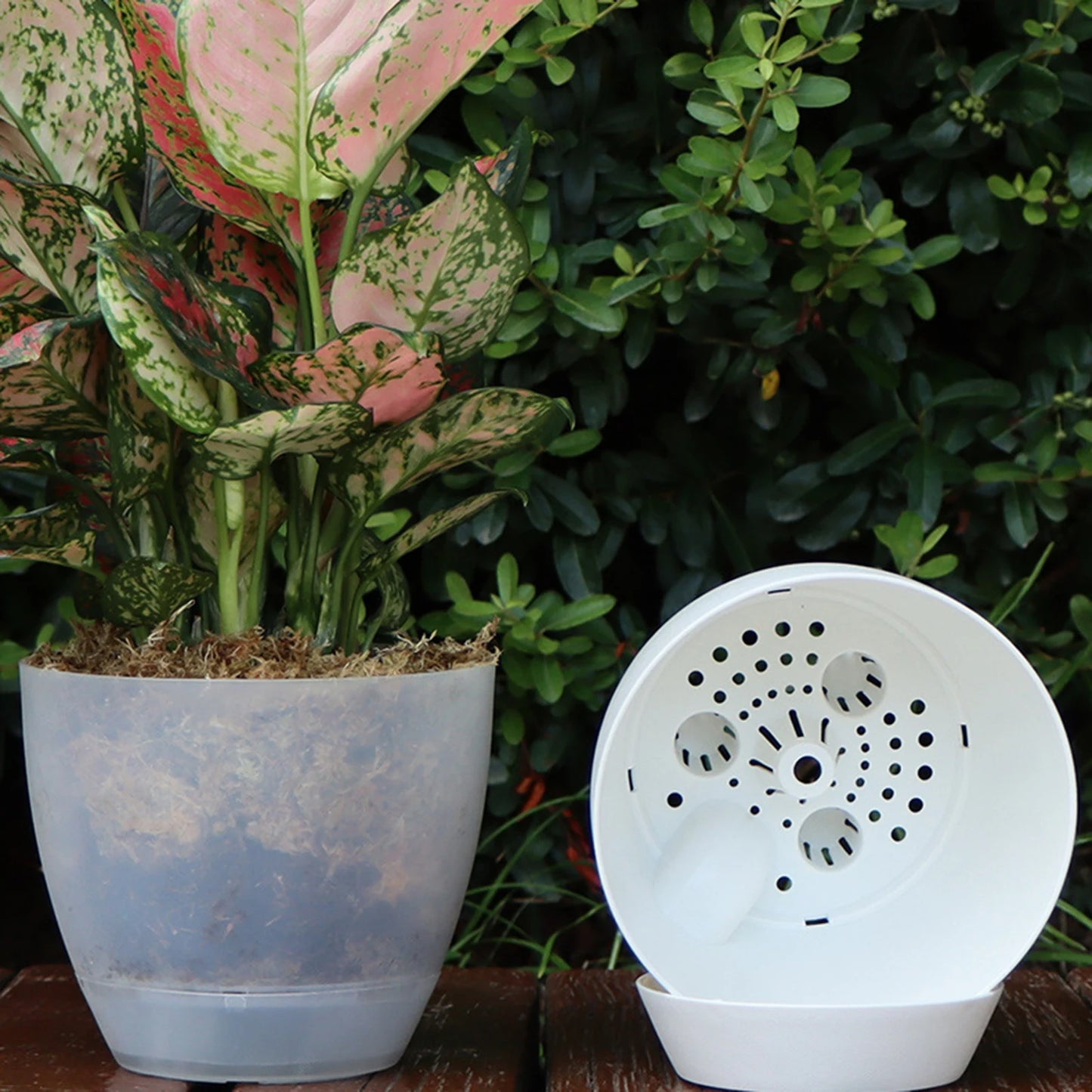 Smart Self-Watering Flower Planter with Tray