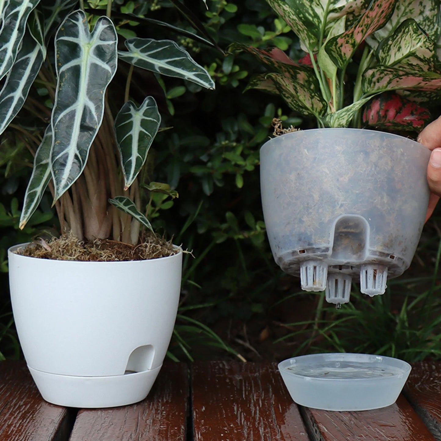 Smart Self-Watering Flower Planter with Tray