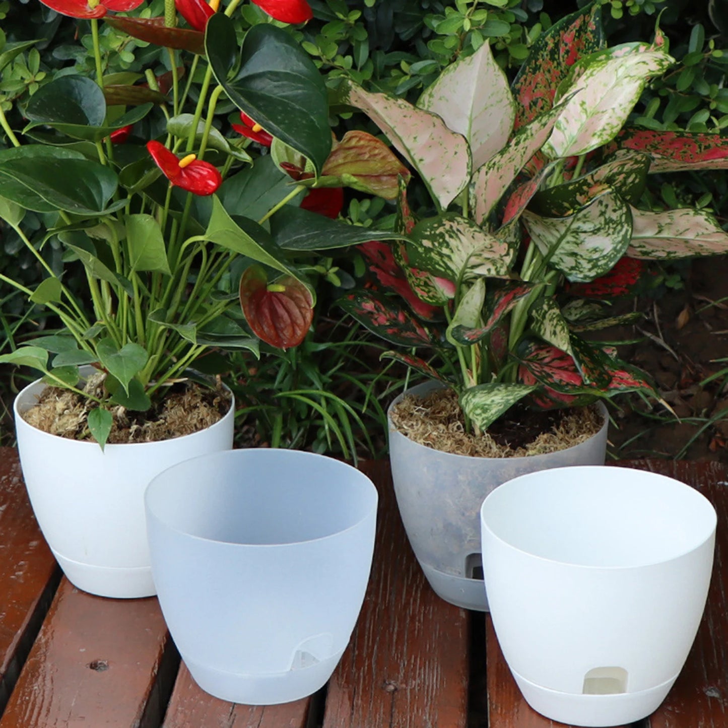 Smart Self-Watering Flower Planter with Tray
